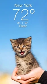 Screenshot 0
