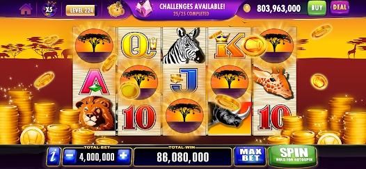 Screenshot 19
