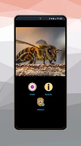 Screenshot 28