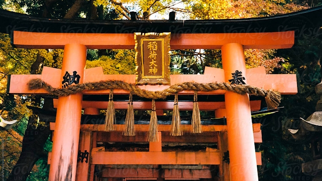 Screenshot 25